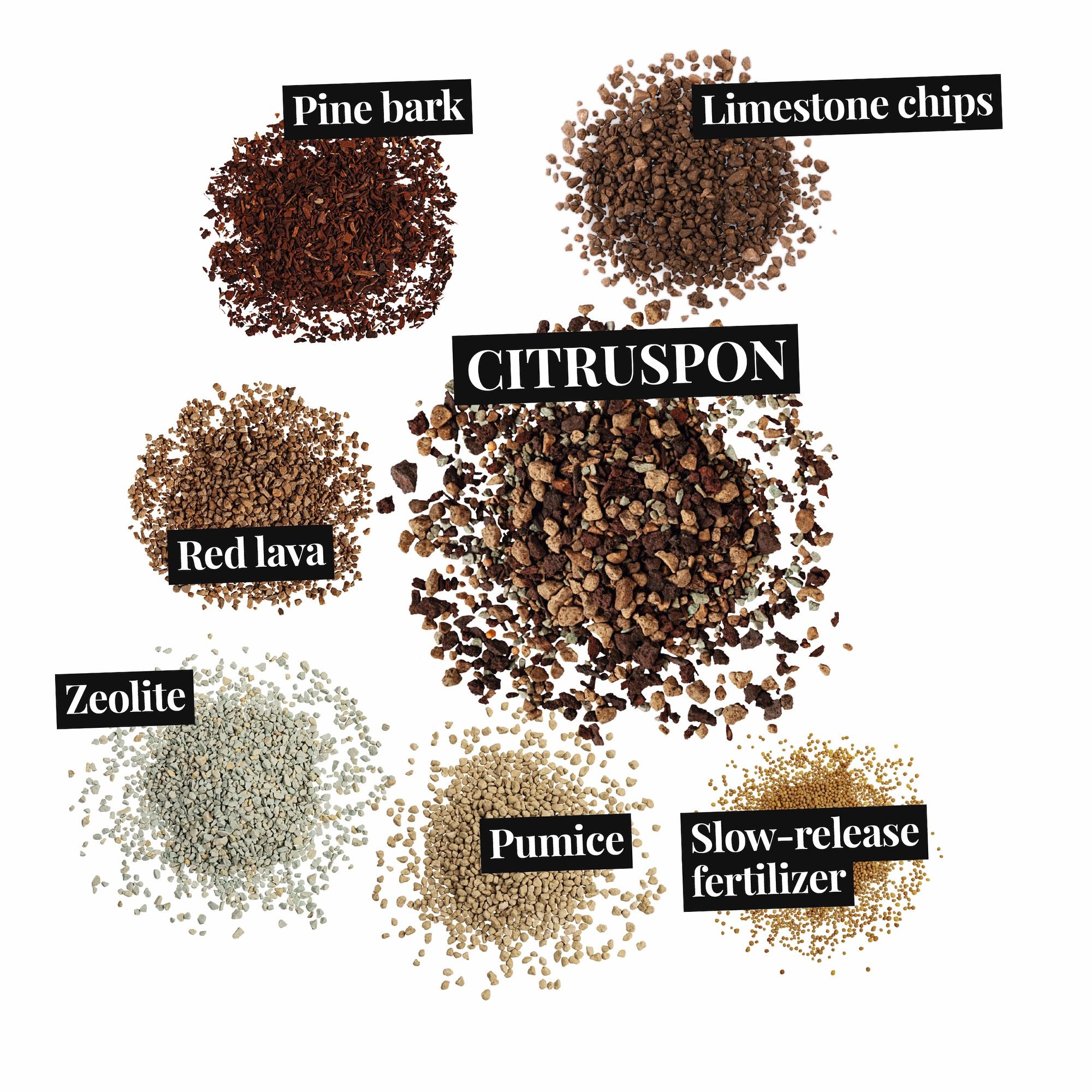 le_substratbestandteile_citruspon_en